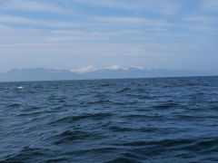 Shelikof Strait