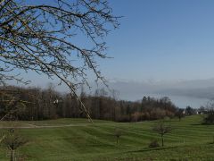 Zürichsee
