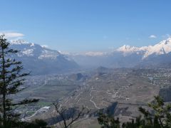 Sion Wallis