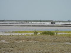 Las Salinas