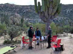 Picknick
