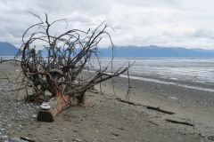 Anchorage