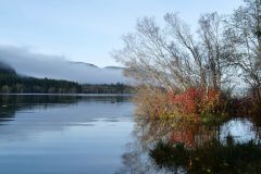 Alice Lake