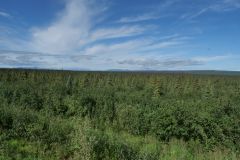 Dempster Hwy