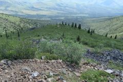 Grizzly Lake Trail