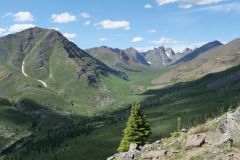 Grizzly Lake Trail