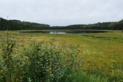 Swanson River Road