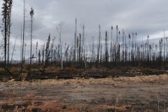 nach dem Brand in Tok